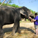 Jason with his elephant Maesi Noi at Patara Elephant Camp, Chiang Mai, Thailand