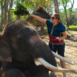Missy brushing off her elephant at Patara Elephant Camp, Chiang Mai, Thailand