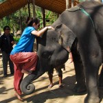 Getting on the elephant at Patara Elephant Camp, Chiang Mai, Thailand