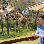 Giraffe Manor in Nairobi during Wedding World Tour