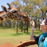 Giraffe tongue at Giraffe Manor in Nairobi during Wedding World Tour